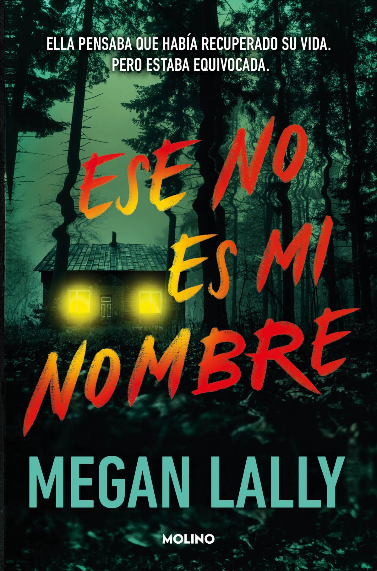 Ese no es mi nombre / That's Not My Name cover (ISBN 9788427246331) [onix:6ebdf9a3a99600d1f71c636405ffa252]