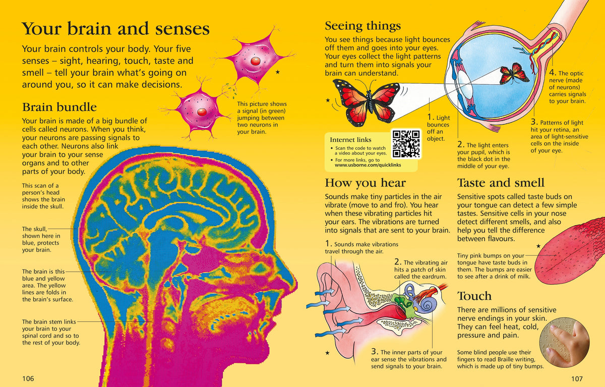 The Usborne Children's Encyclopedia interior 1 (ISBN 9781409577669) [onix-asset:a53f831eda0b6bb4d45abdb2fe772d2f382688f7e6f3506aec0bd3324db7402a]