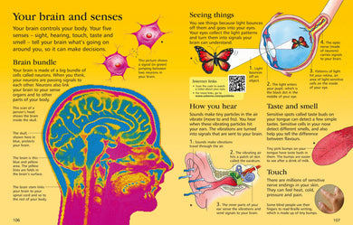 The Usborne Children's Encyclopedia interior 1 (ISBN 9781409577669) [onix-asset:a53f831eda0b6bb4d45abdb2fe772d2f382688f7e6f3506aec0bd3324db7402a]