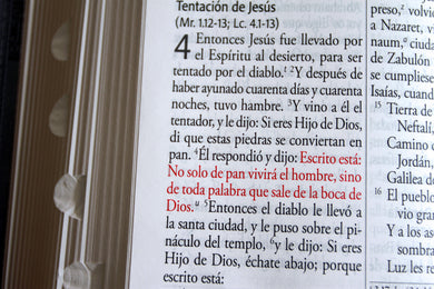 Biblia RVR 1960 Tamaño manual, letra gigante, piel gris con cremallera e índice / Spanish Bible RVR 1960 Giant Print, Gray Leathersoft with Zipper and Index interior 9 (ISBN 9798890985682) [onix:f7686d7c2b30b6a4449d65cd8b7c0b0f]