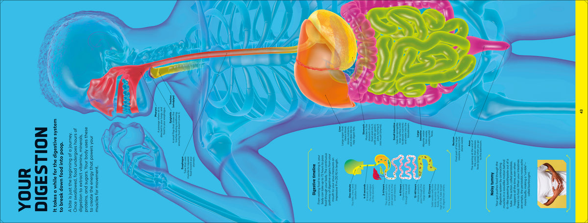 Book interior [onix-asset:3d97f5c50ee0572e699eb50215e3a49f8017b49e4fe4c44738a95a669c43bd74]