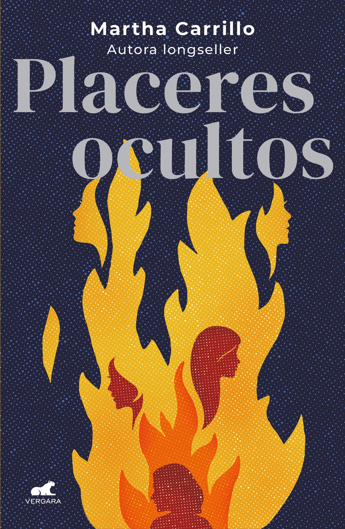 Placeres ocultos / Hidden Pleasures cover (ISBN 9786073829779) [onix:a54bb1cdd0c5b3ef6c63b3e38aca9811]