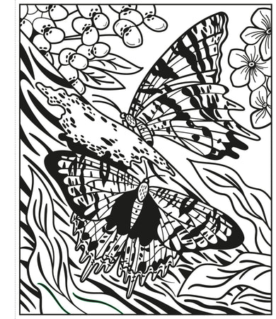 Butterflies Magic Painting Book interior 1 (ISBN 9781474986199) [onix-asset:3e77077da40ad669ab93b1fa462185e05799bc4eb3d32cfa03c221e8a863ef60]