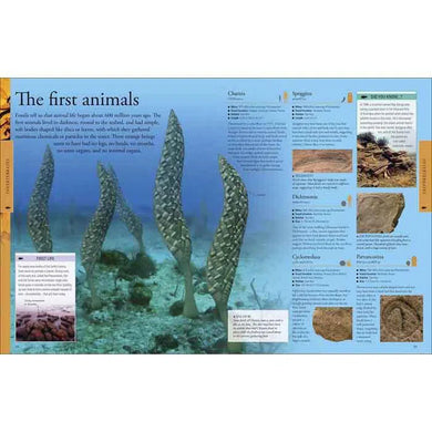 Dinosaurs A Children's Encyclopedia (Hardback) DK UK