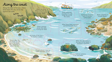 Look Inside Seas and Oceans interior 1 (ISBN 9781474947060) [onix-asset:9ca51834b9066a899a9f8f46574210eb33c79be2d5e23ae21e1d3865351cc61d]