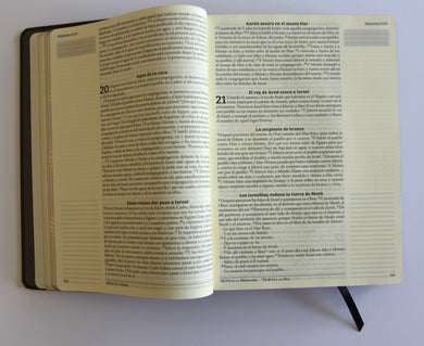 Biblia de apuntes RVR 1960 TD, Negro y oro (Edición cantos pintados) / Spanish Journaling Bible RVR 1960 HC Black and Gold interior 9 (ISBN 9798890982230) [onix:60441f10b799563f201c5a15c4104223]