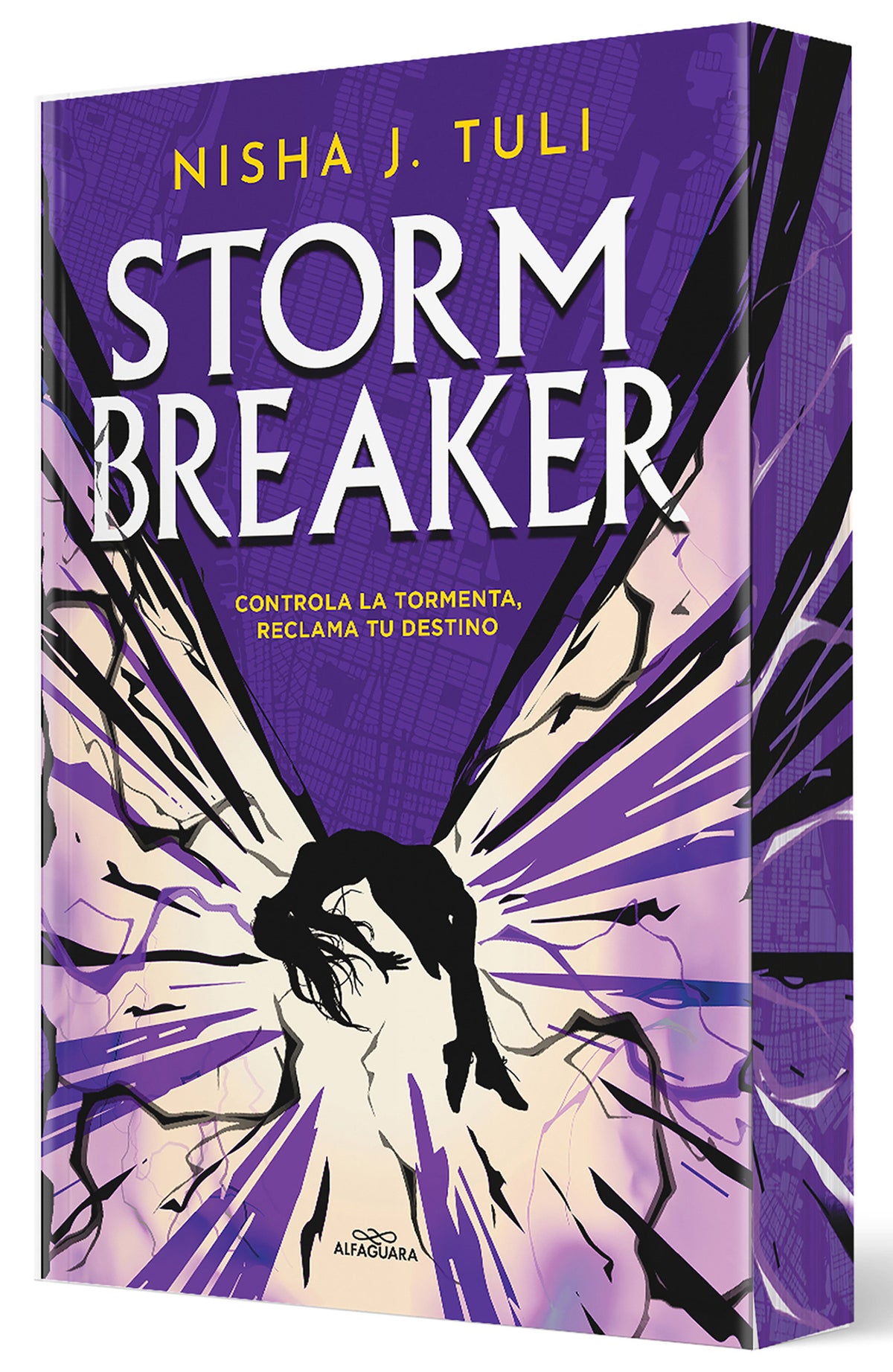 Storm Breaker (Spanish Edition) cover (ISBN 9791387741402) [onix:8ea19d29045933b869222cc3c0f0cb61]