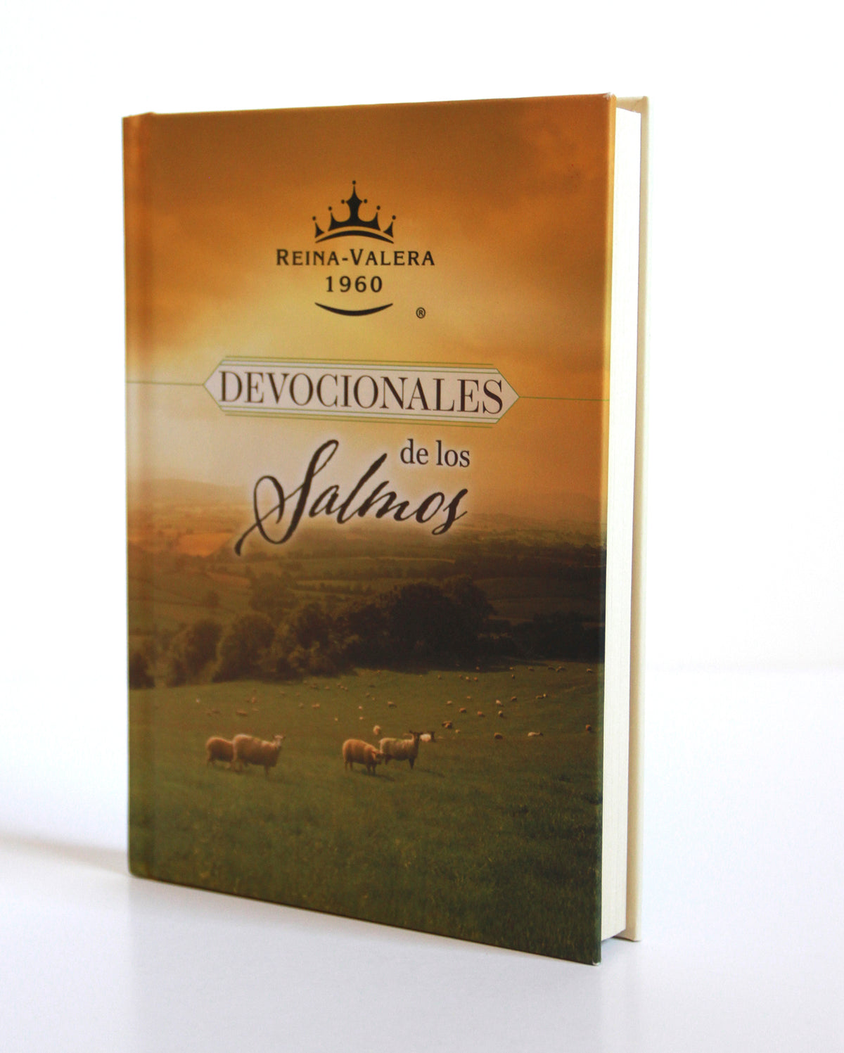 RVR 1960 Devocionales de los Salmos / RVR 1960 Psalms Devotionals interior 3 (ISBN 9798890983589) [onix:c6ef974be3d1d80c3bd12854ad658bcd]