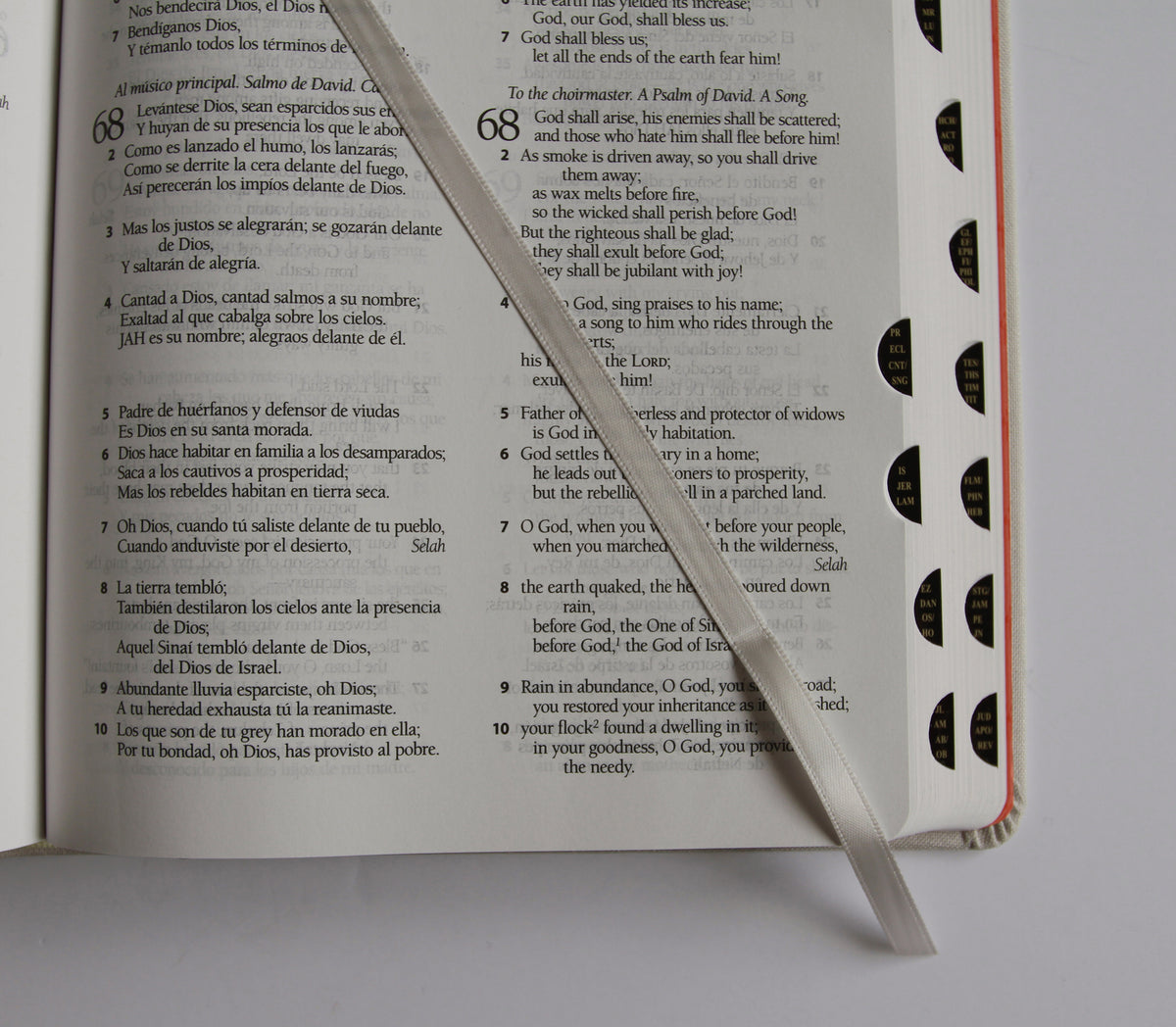 Biblia Bilingüe Reina Valera 1960/ESV letra grande tapa dura tela con índice / Bilingual Bible ESV/RVR 1960 Large Print Cloth Hardcover with Index interior 8 (ISBN 9798890985361) [onix:4c856728ea08c5853a3c30b026936385]