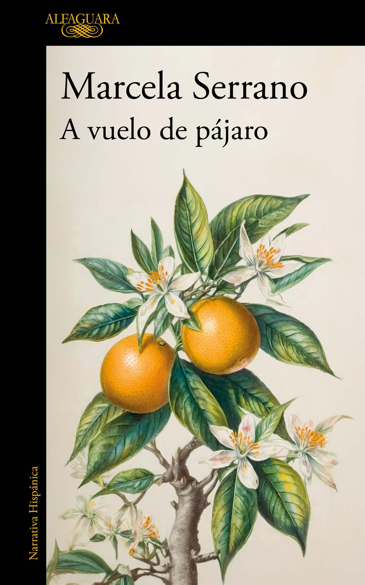 A vuelo de pájaro. Cuadernos / A Birds-Eye View cover (ISBN 9786073846134) [onix:b4db6ea1fc295e3f9a704e2df1c0d093]