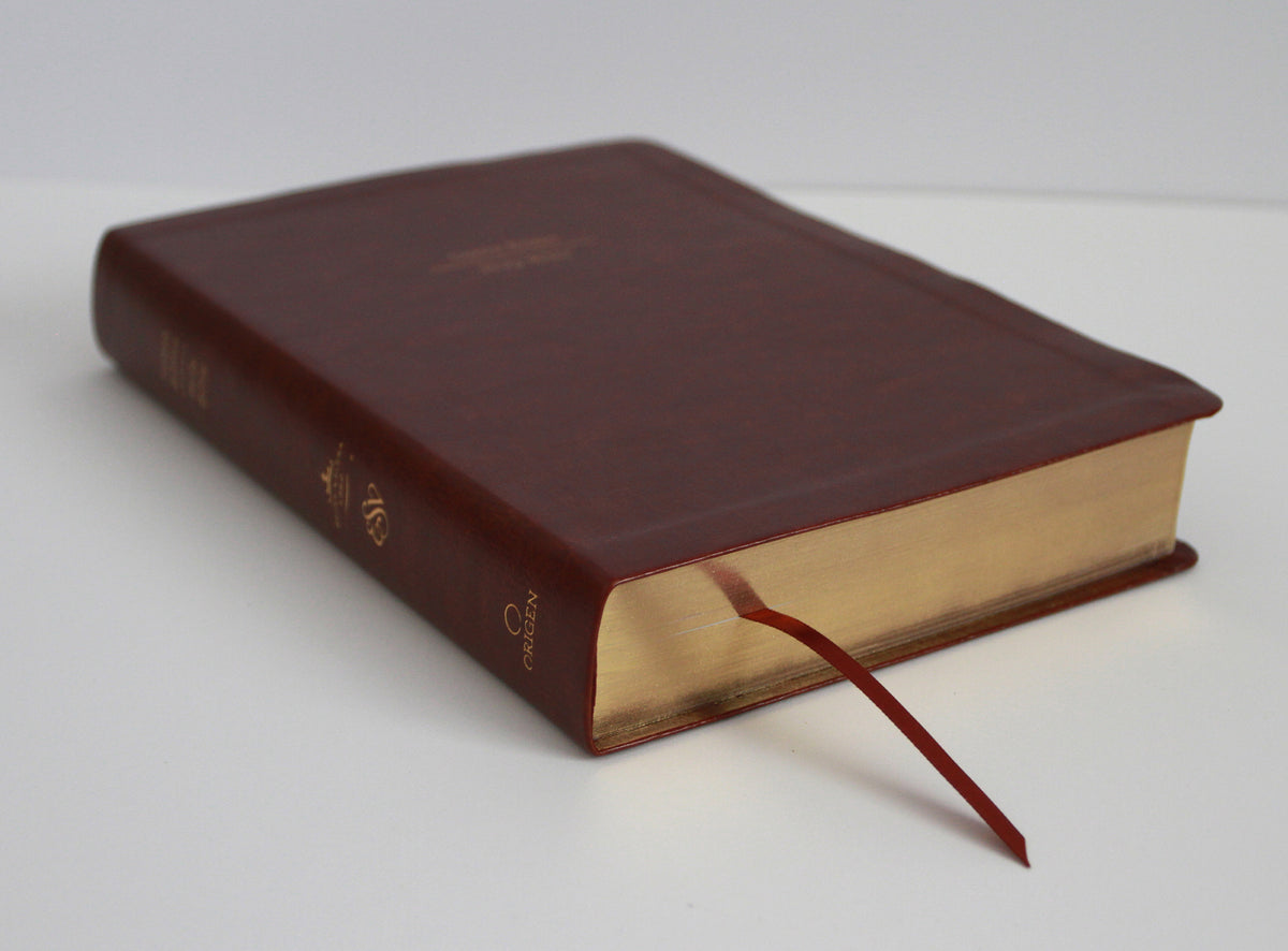 Biblia Bilingüe Reina Valera 1960 (ESV) letra grande símil piel marrón con índice/ Bilingual Bible RVR 1960 (ESV) Large Print Brown Leathersoft with Thumb interior 6 (ISBN 9798890984272) [onix:c9ccdceadc4f1355f40372bfc5080c8e]
