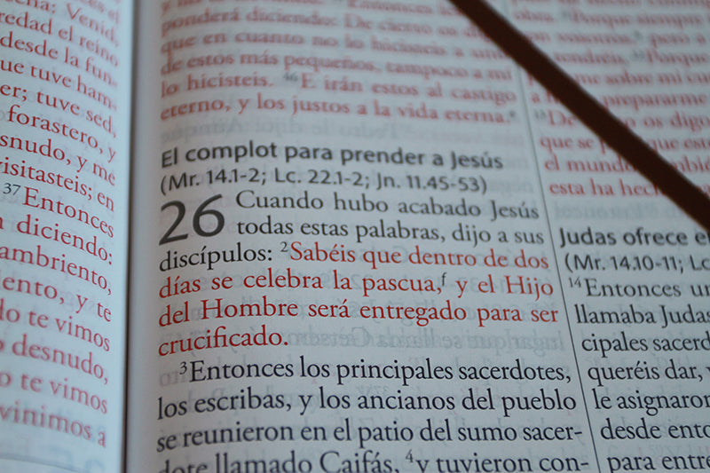 Biblia Reina Valera Revisada 1960 letra súper gigante, símil piel marrón / Spanish Bible RVR 1960 Super Giant Print, Brown Leathersoft interior 6 (ISBN 9798890980755) [onix:b756b9b8bde2c420a61257723e5fe702]