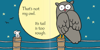 That's not my owl. interior 1 (ISBN 9781409587583) [onix-asset:eb9ecc89a2d6919b565bae4970fc8d2f20ca0570e2991eed82c3de22cb84d6af]