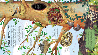 Look Inside Animal Homes interior 1 (ISBN 9781474942928) [onix-asset:b41f97c9274d2a6e509b0b5846cc01e946f452bd4f698301d849fee8ff7ba9d1]