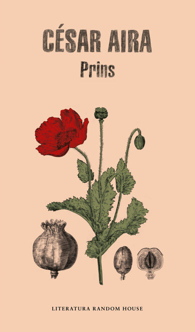Prins (Spanish Edition) cover (ISBN 9788439734352) [onix:05be0d58137a2e5998d0334b1d75984d]