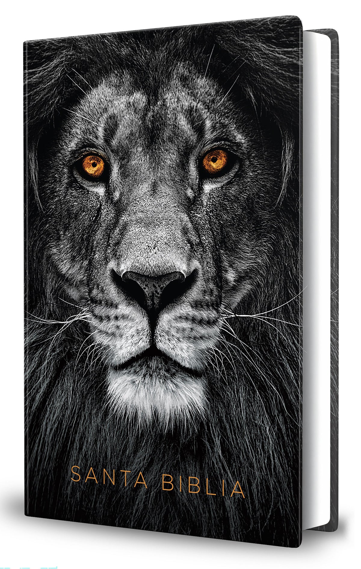 Biblia RVR 1960 tamaño grande, León de Judá, tapa dura ultrafina y con letra grande / Spanish Bible RVR 1960 Large Format, Large Print, Lion of Judah Hardcov cover (ISBN 9798890985644) [onix:bc620def85ebd3d59588db3a1ad5fd0d]