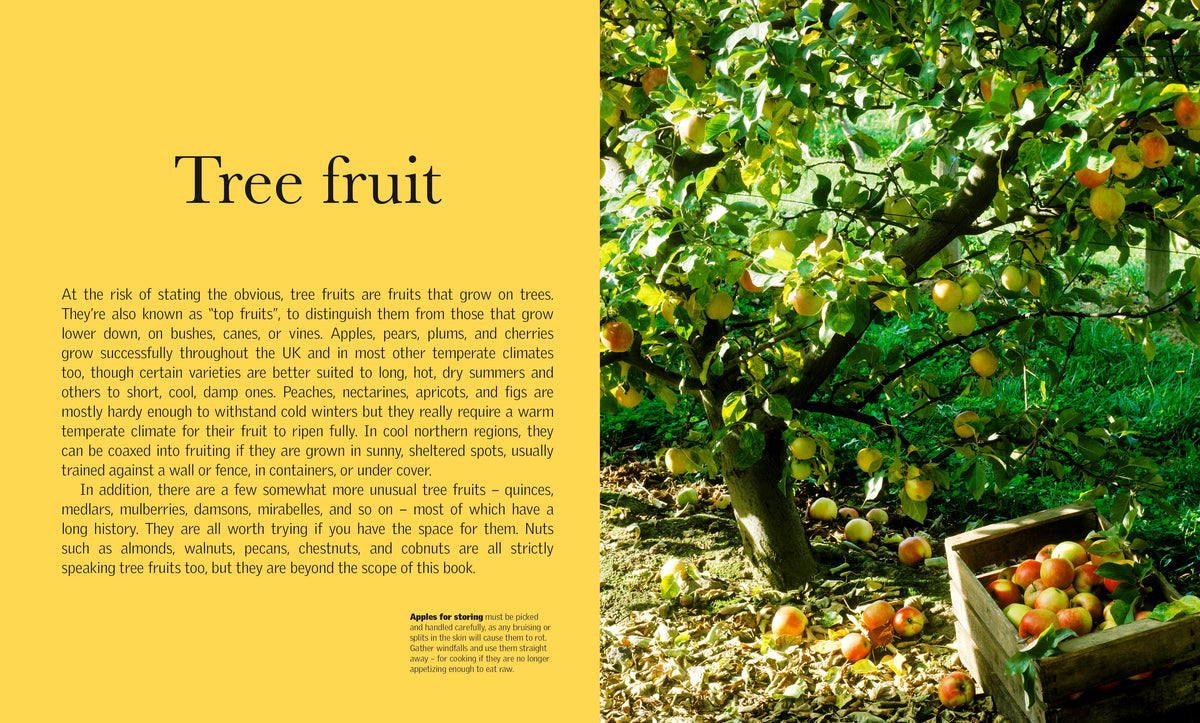 Grow Fruit interior 1 (ISBN 9780241239117) [onix-asset:8b391cd7b8ab36a9ed93e24642ebd8e3df0b2fd76c7f43323ce92d53891492c2]