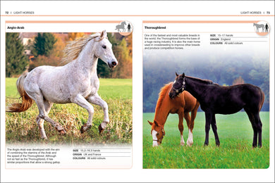 Pocket Eyewitness Horses interior 3 (ISBN 9780241343661) [onix-asset:e0c6f7856b006c11ecd7913a7de475ace320d217c9c535f48a7b6b3b3cda9e54]