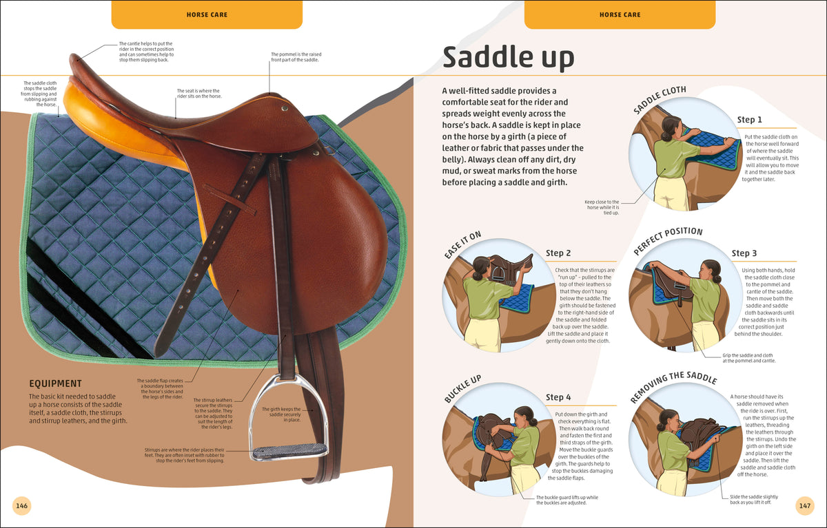Horses & Ponies interior 9 (ISBN 9780241446638) [onix-asset:93f542bc24da810fd0e373272a9a39afe255059d90326d02bf26bd7ca6299237]