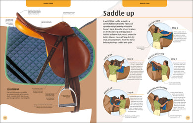 Horses & Ponies interior 9 (ISBN 9780241446638) [onix-asset:93f542bc24da810fd0e373272a9a39afe255059d90326d02bf26bd7ca6299237]