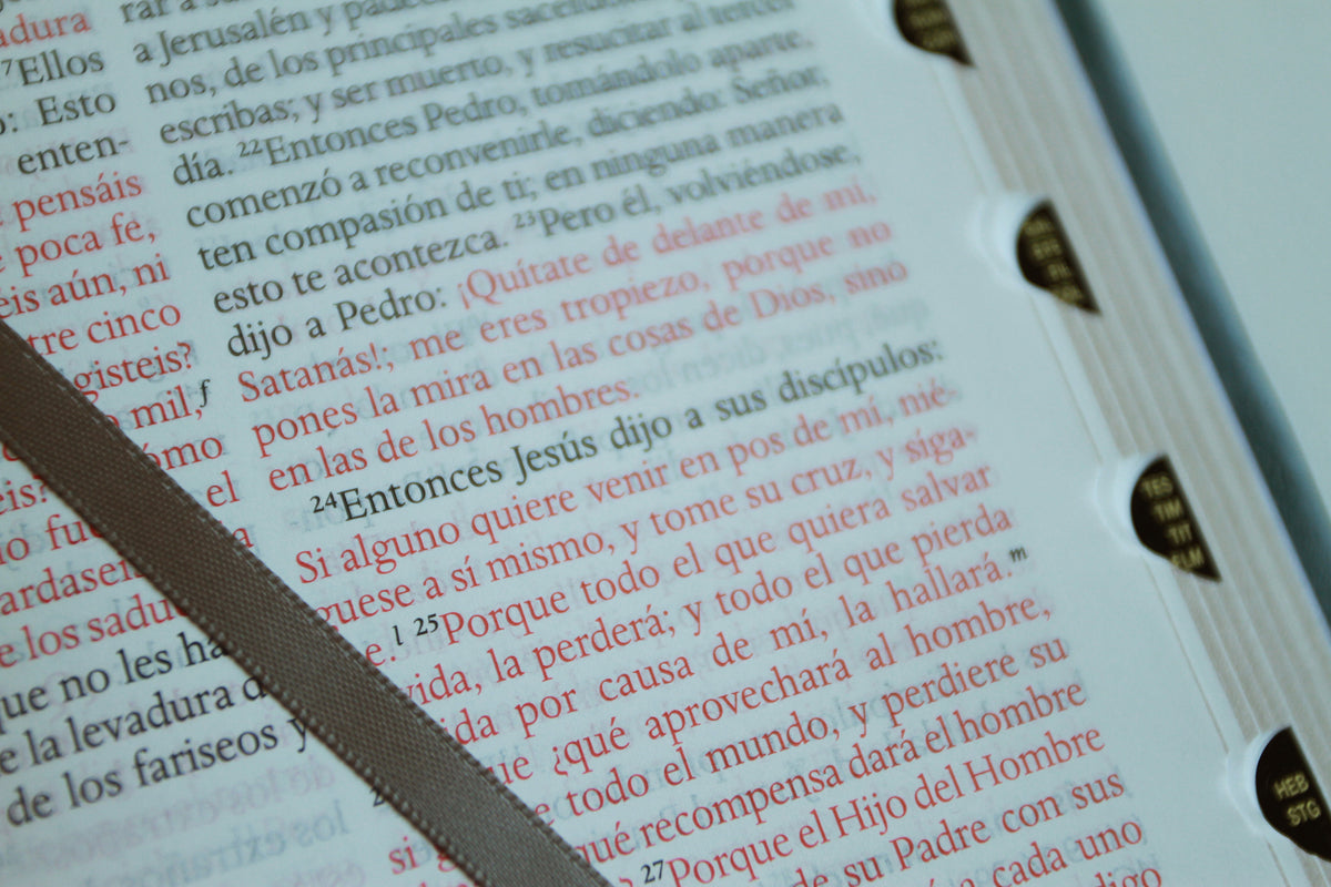 Biblia RVR 1960 letra grande tamaño manual, Piel gris con índice / Spanish Bible RVR 1960 Handy Size Large Print Leathersoft Gray with index interior 10 (ISBN 9798890982148) [onix:3efcbf21abe2b4f830debfeb8c197966]