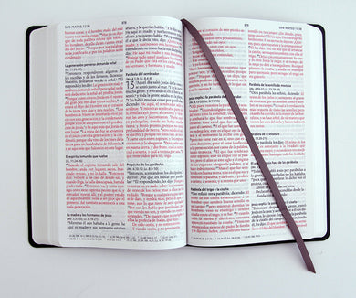 Biblia RVR 1960 letra grande, tamaño manual, símil piel gris, edición económica / RVR 1960 Bible, Large Print Handy Size, Gray Imitation Leather, Economic interior 3 (ISBN 9798890985514) [onix:da2b97ee22949355d76b9abec6ef80b1]