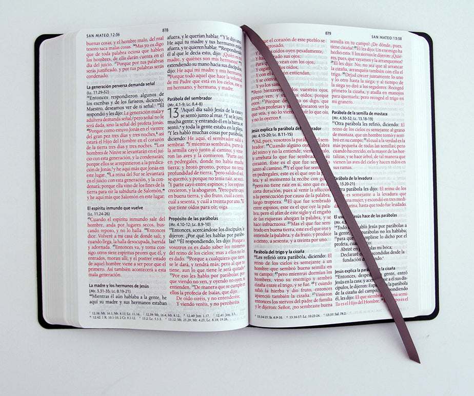 Biblia RVR 1960 letra grande, tamaño manual, símil piel gris, edición económica / RVR 1960 Bible, Large Print Handy Size, Gray Imitation Leather, Economic interior 3 (ISBN 9798890985514) [onix:da2b97ee22949355d76b9abec6ef80b1]