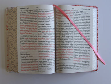 Biblia RVR 1960 Letra gigante, símil piel rosada con flores (Edición cantos pintados / Spanish Bible RVR 1960 Giant Print Handy Size Leathersoft Pink floral interior 7 (ISBN 9798890982223) [onix:3625a642a61299a869a1def24a435a6c]