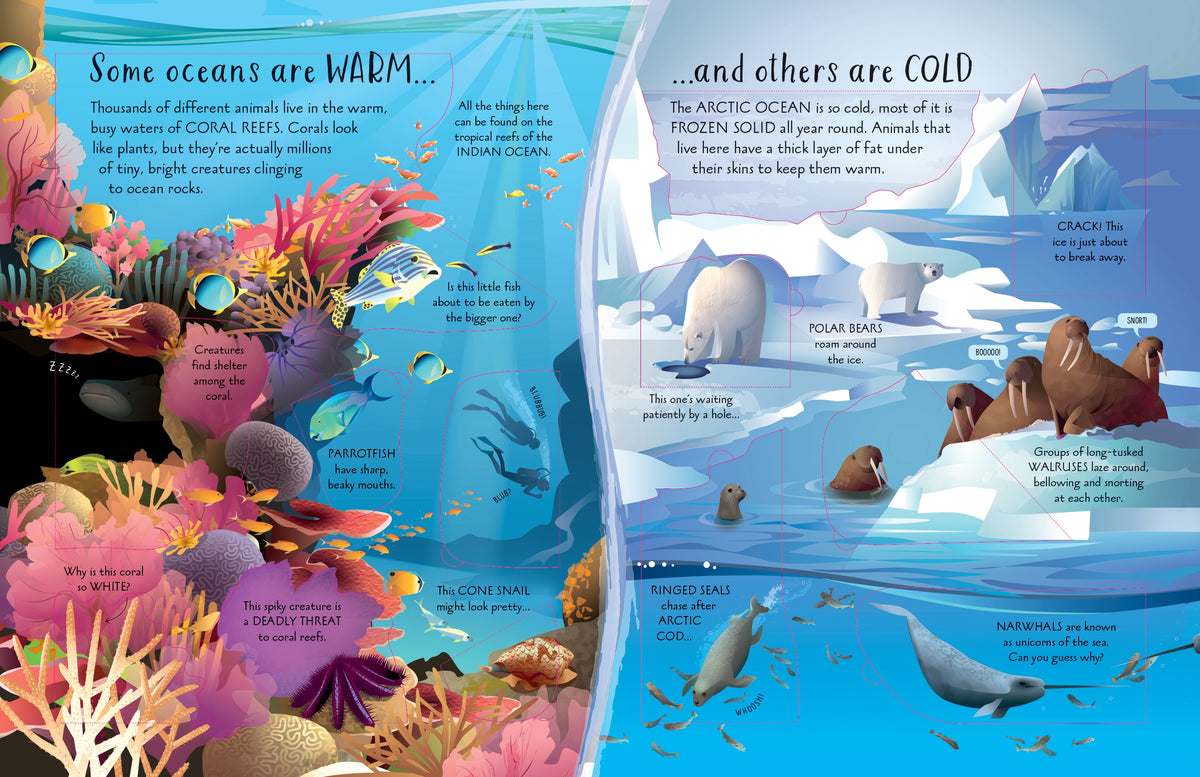 See Inside Oceans interior 1 (ISBN 9781474968911) [onix-asset:9cb31619e34262bf5ae094a44650b207290824354280c0a79a6d74f94577eb1b]