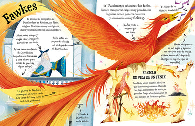 Pocket Potters: Profesor Dumbledore / Pocket Potters-Dumbledore interior 1 (ISBN 9788419868596) [onix:2390137467ca9a488b9b45411b4cb0a6]