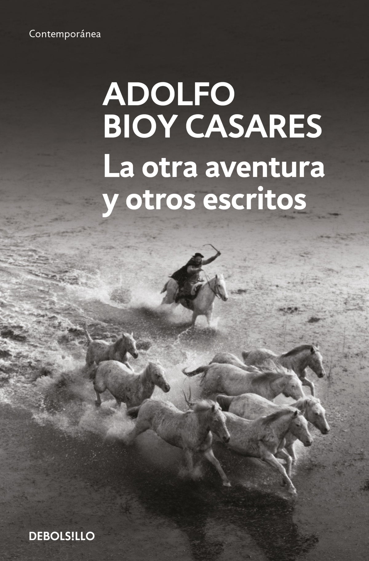 La otra aventura y otros escritos / The Other Adventure and Other Stories cover (ISBN 9788466378192) [onix:513151f7d06a668ce11c3e4fe4774381]