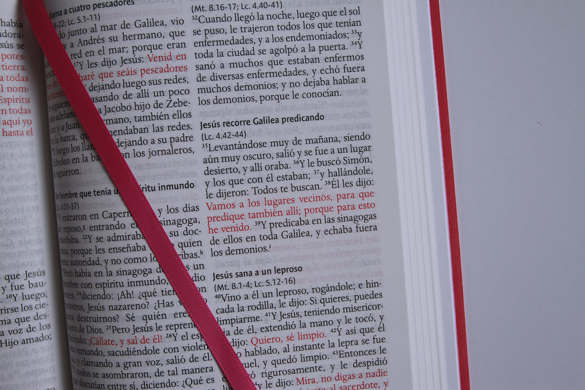 Biblia RVR 1960 letra grande, tamaño manual, Símil piel rosada, edición económica / Spanish Bible RVR 1960 Handy Size, Large Print, Pink Leathersoft interior 9 (ISBN 9798890988232) [onix:c93e758599a7a48e7dcab4f68b21b969]