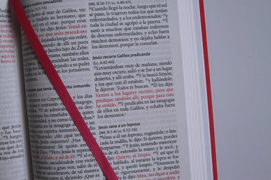 Biblia RVR 1960 letra grande, tamaño manual, Símil piel rosada, edición económica / Spanish Bible RVR 1960 Handy Size, Large Print, Pink Leathersoft interior 9 (ISBN 9798890988232) [onix:c93e758599a7a48e7dcab4f68b21b969]