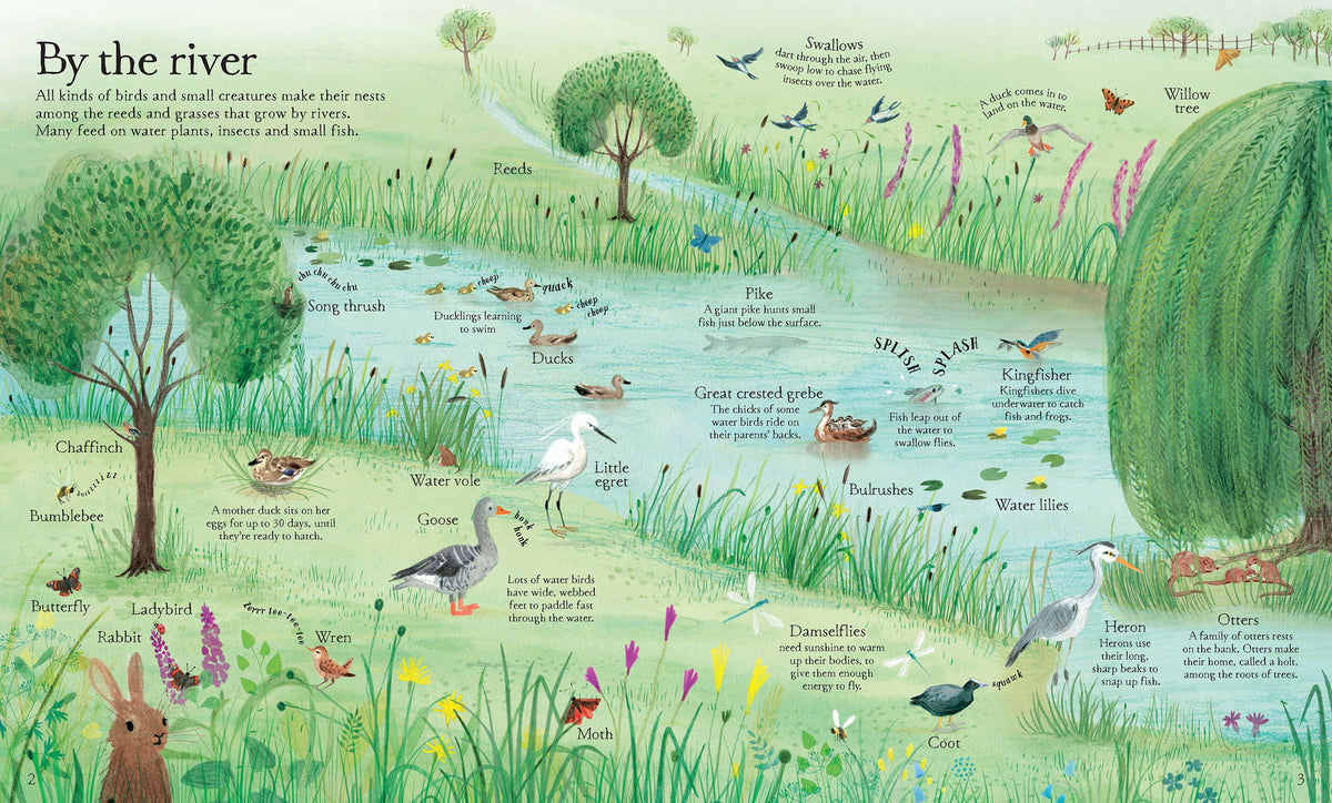 Big Picture Book Outdoors interior 1 (ISBN 9781409598732) [onix-asset:1f5c3011f445af8da293c8440b6019917c196878e7604fc61ef169bb1c75a91e]