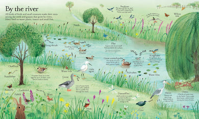 Big Picture Book Outdoors interior 1 (ISBN 9781409598732) [onix-asset:1f5c3011f445af8da293c8440b6019917c196878e7604fc61ef169bb1c75a91e]