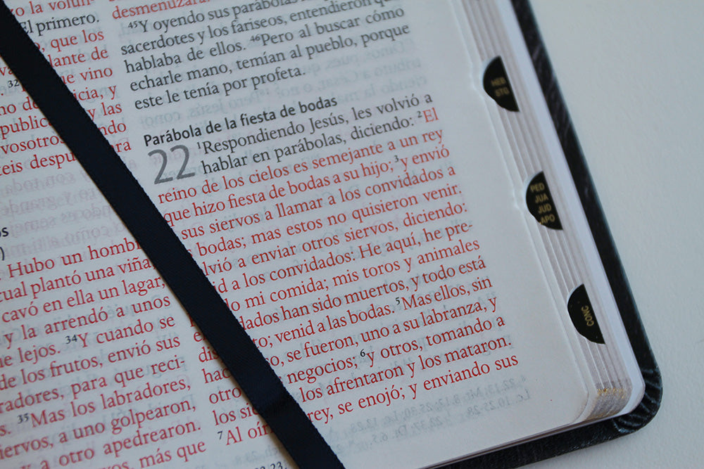 Biblia Reina Valera 1960 letra grande. Biblia León símil piel índice / Spanish Bible RVR 1960 Handy Size Large Print imitation leather Lion of Judah interior 5 (ISBN 9798890980069) [onix:0d6a4968bd8c4498116ae94618e8a34b]