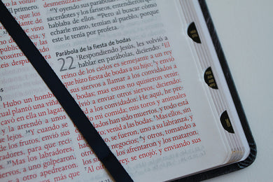 Biblia Reina Valera 1960 letra grande. Biblia León símil piel índice / Spanish Bible RVR 1960 Handy Size Large Print imitation leather Lion of Judah interior 5 (ISBN 9798890980069) [onix:0d6a4968bd8c4498116ae94618e8a34b]