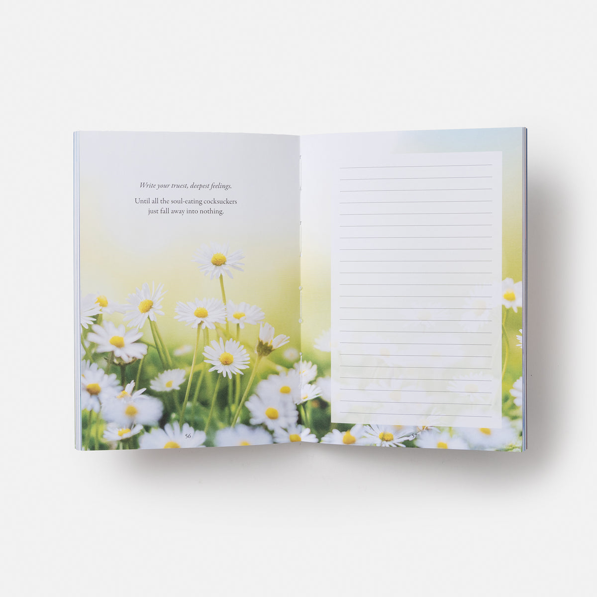 Book interior [onix-asset:af339e10fa8a63289e4c0b48cd4e65ad64cac9465717e506daba2095fa388452]