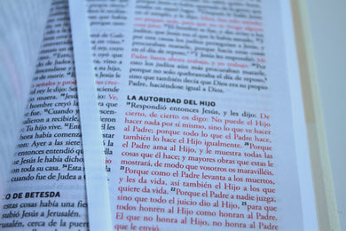 Biblia RVR 1960 para regalos y premios, blanca / Spanish Bible RVR 1960 Gift and Award Bible White interior 7 (ISBN 9798890985606) [onix:9351b1eb1514a83aa743081de8bfa495]