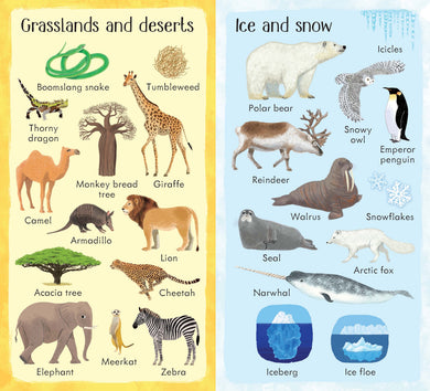 199 Things in Nature interior 1 (ISBN 9781474941037) [onix-asset:a9f4bf26a23846c7882b3367dfd5fafa9ad3cad85322cba6e03d8766f16adcc6]