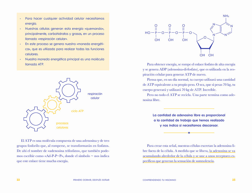 Primero dormir, después soñar: Un libro para combatir el insomnio / First Sleep, Then Dream: A Book to Fight Insomnia interior 2 (ISBN 9788418055669) [onix:3f39dbc12e33388c793dd2333fb68553]