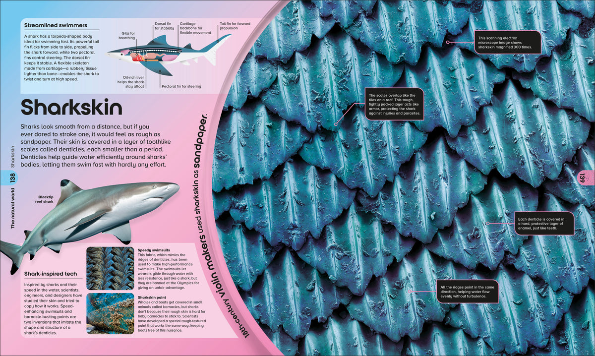 Book interior [onix-asset:0a06fdc71322c8d565f2901ab074d8584a14d63e9dcadce5730e1dd1b56a2c8d]