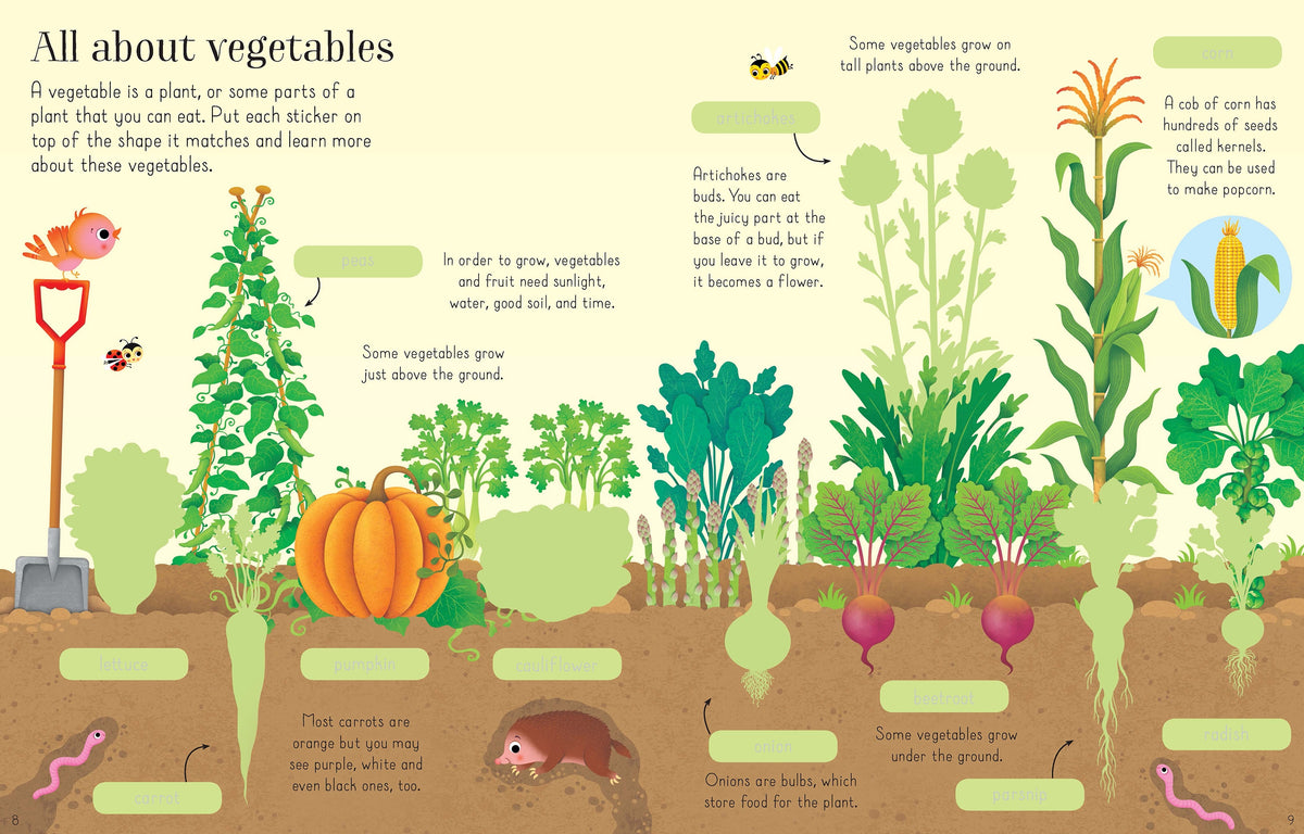 First Sticker Book Fruit and Vegetables interior 1 (ISBN 9781474922197) [onix-asset:3db652a8181946d3e4102862104a8c65bd6eb4db90b9bbcf16eeffb064d9c849]