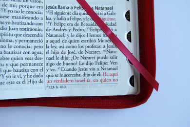 Biblia Reina Valera Revisada 1960 letra súper gigante, símil piel fucsia rosada, cremallera e índice / Spanish Bible RVR 1960 Super Giant Print, Fuchsia Pink interior 9 (ISBN 9798890985712) [onix:6f5895c7af2ec9f2469f0f62b995bb33]
