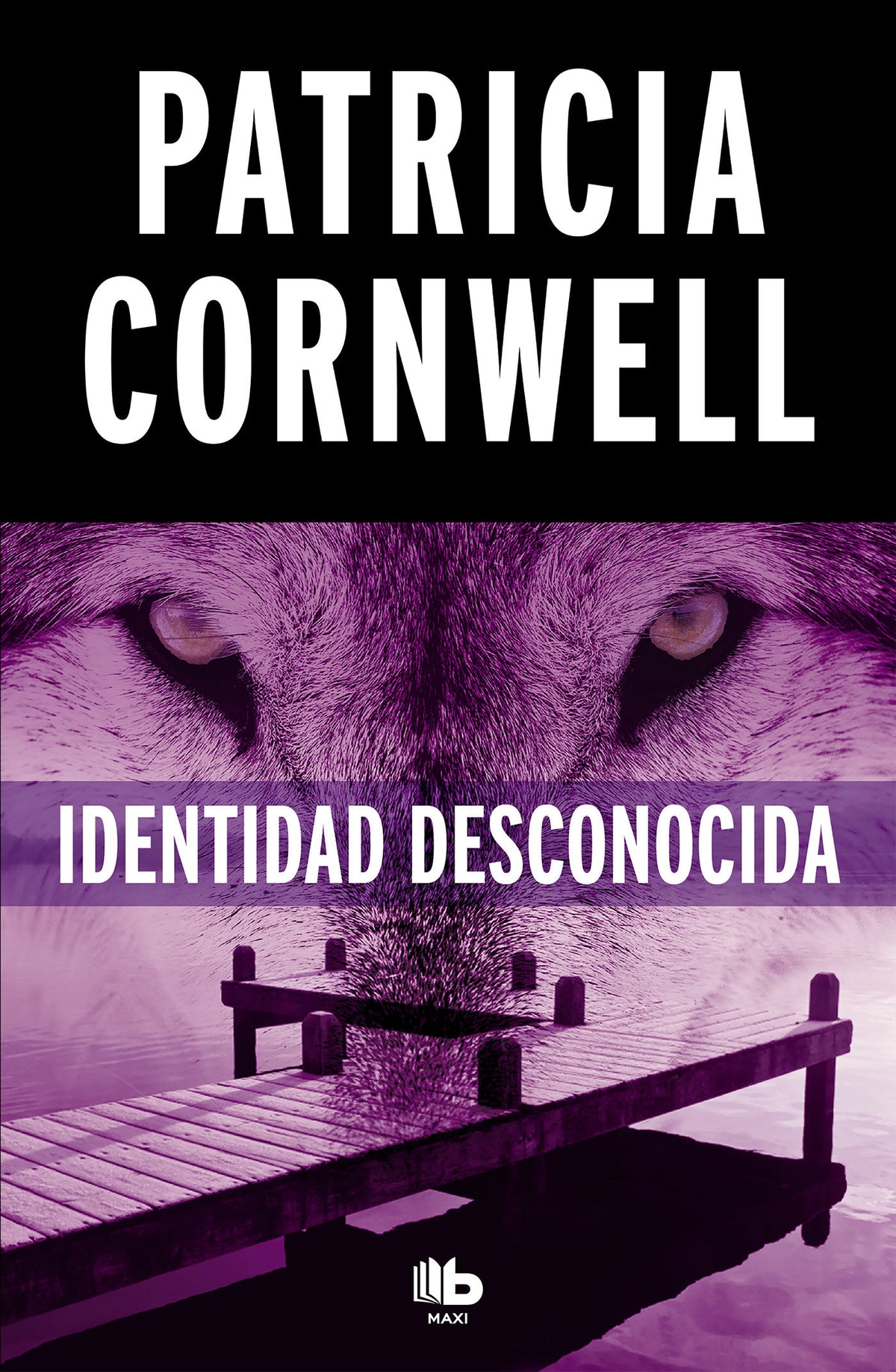 Identidad desconocida / Black Notice cover (ISBN 9788490706244) [onix:09d0ff053d171fff42d2e688c5a1476f]