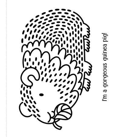 First Magic Painting Pets interior 1 (ISBN 9781805079255) [onix-asset:093fa79d7c0aabefb4fe38a0671877ec3a6825d8799bec820b0e6d82e8c3fdb4]