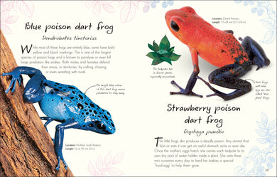 An Anthology of Frogs and Toads interior 1 (ISBN 9780241836163) [onix-asset:e467f3b17feb16fb9c271a8600208bbc24acbf578cc6cb06662eb51b78b79fd6]