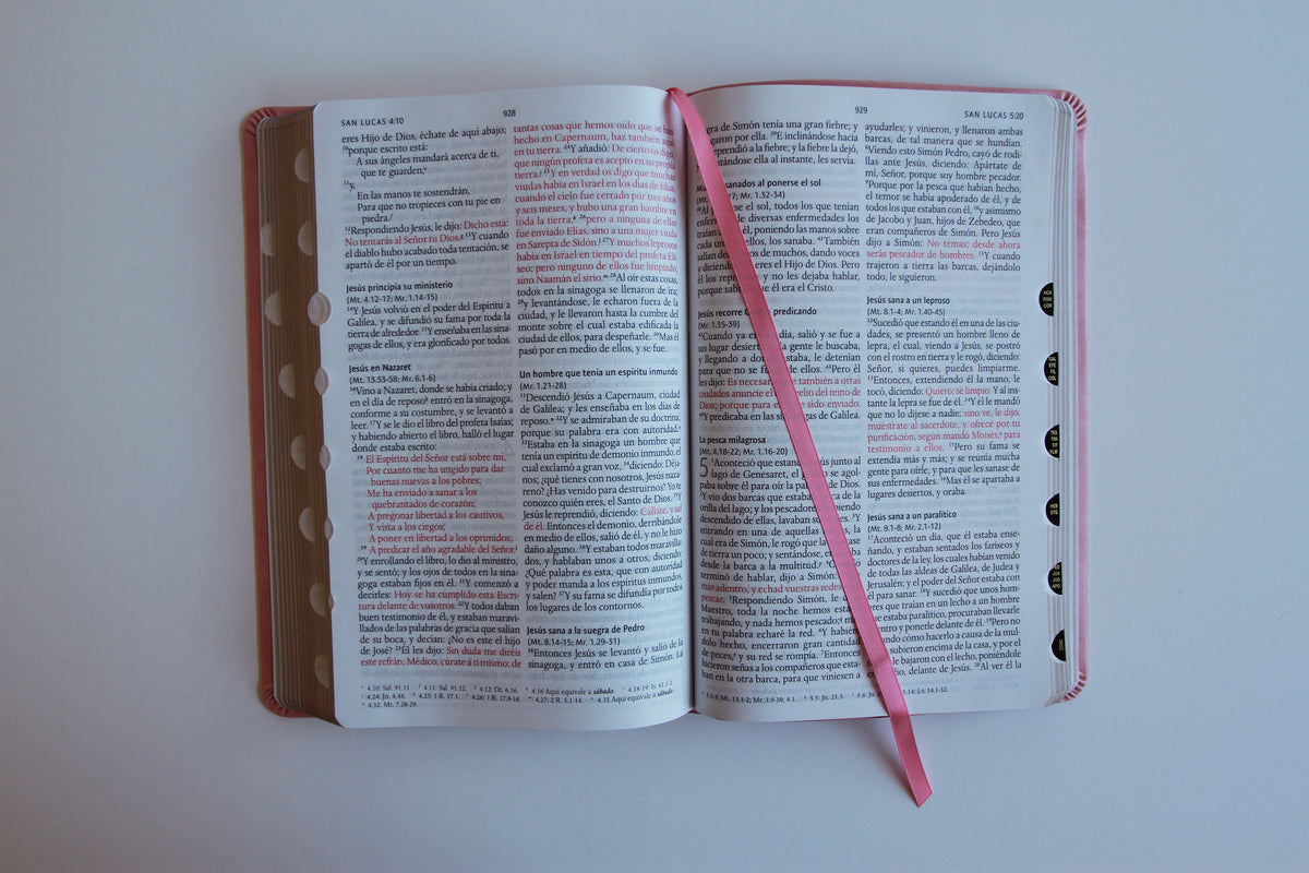 Biblia RVR 1960 letra grande tamaño manual, Piel rosada con índice / Spanish Bible RVR 1960 Handy Size Large Print Leathersoft pink with index interior 4 (ISBN 9798890982131) [onix:048301b6ee3be832479710624b509420]