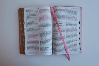 Biblia RVR 1960 letra grande tamaño manual, Piel rosada con índice / Spanish Bible RVR 1960 Handy Size Large Print Leathersoft pink with index interior 4 (ISBN 9798890982131) [onix:048301b6ee3be832479710624b509420]