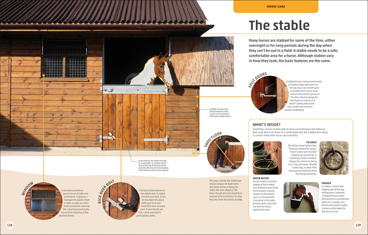 Horses & Ponies interior 7 (ISBN 9780241446638) [onix-asset:e1028be9f4ccd8880048847808fda96a657b78b627fcea50c1ae41809d7f007a]
